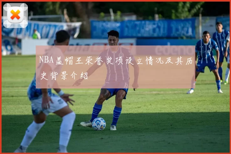 NBA盖帽王荣誉奖项设立情况及其历史背景介绍