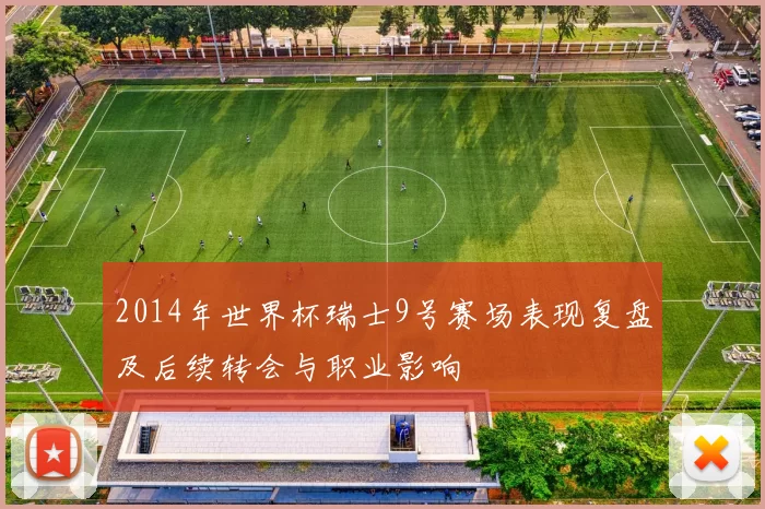 2014年世界杯瑞士9号赛场表现复盘及后续转会与职业影响