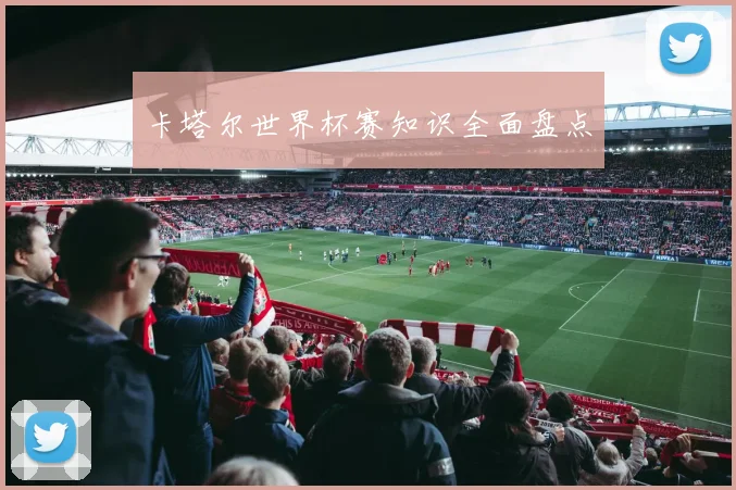 卡塔尔世界杯赛知识全面盘点