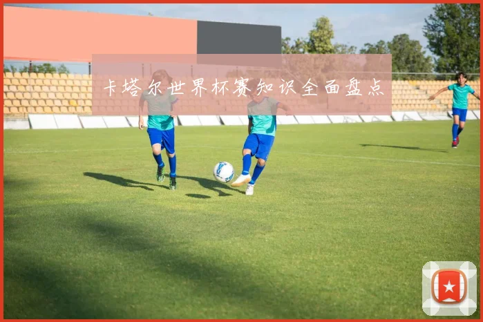 卡塔尔世界杯赛知识全面盘点