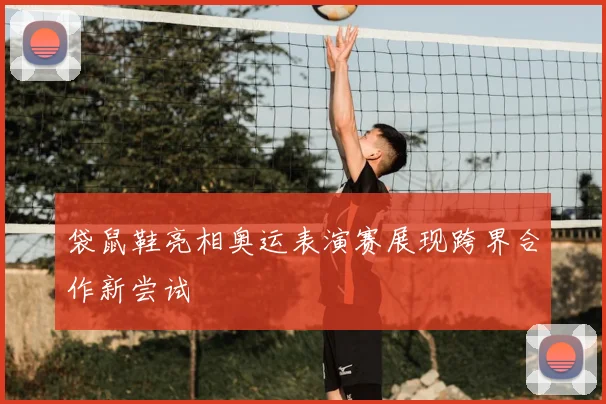 袋鼠鞋亮相奥运表演赛展现跨界合作新尝试